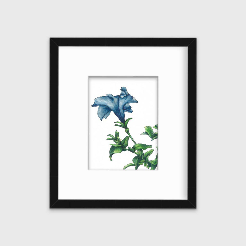 Blue - Open Edition Paper Print - Liza Pruitt