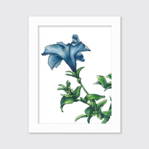 Blue - Open Edition Paper Print - Liza Pruitt