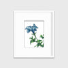 Blue - Open Edition Paper Print - Liza Pruitt