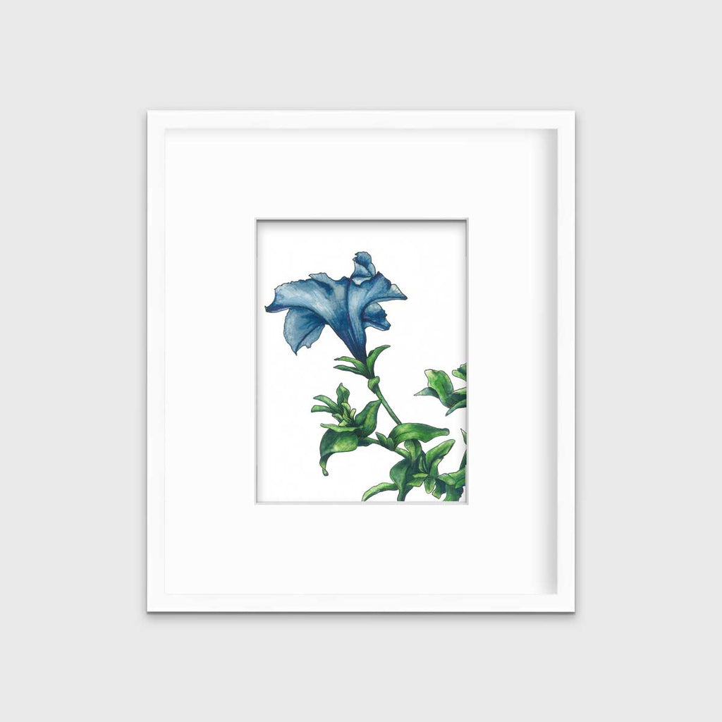 Blue - Open Edition Paper Print - Liza Pruitt