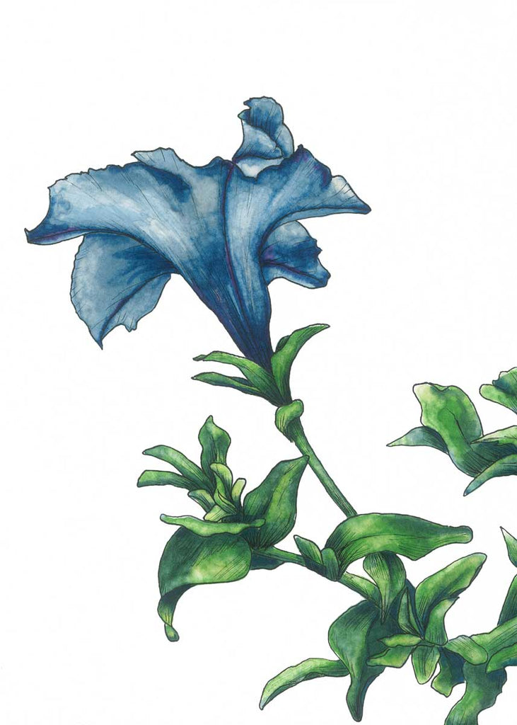 Blue - Open Edition Paper Print - Liza Pruitt