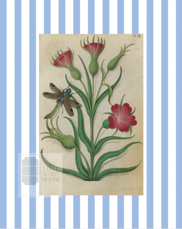 Blue & White Botanical Study, Giclee Print : STUDY 1 - Liza Pruitt