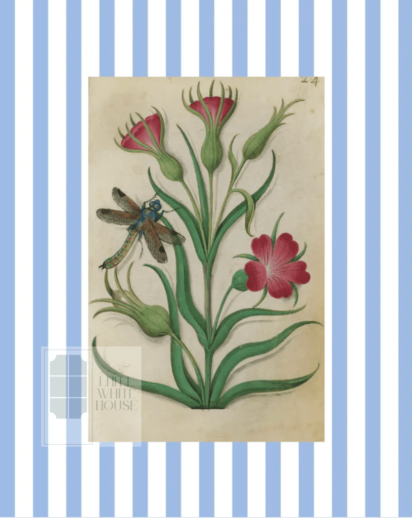 Blue & White Botanical Study, Giclee Print : STUDY 1 - Liza Pruitt