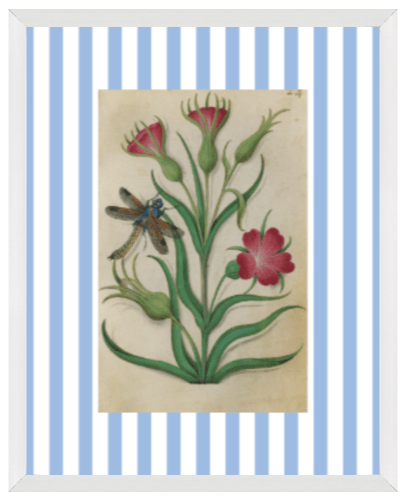 Blue & White Botanical Study, Giclee Print : STUDY 1 - Liza Pruitt