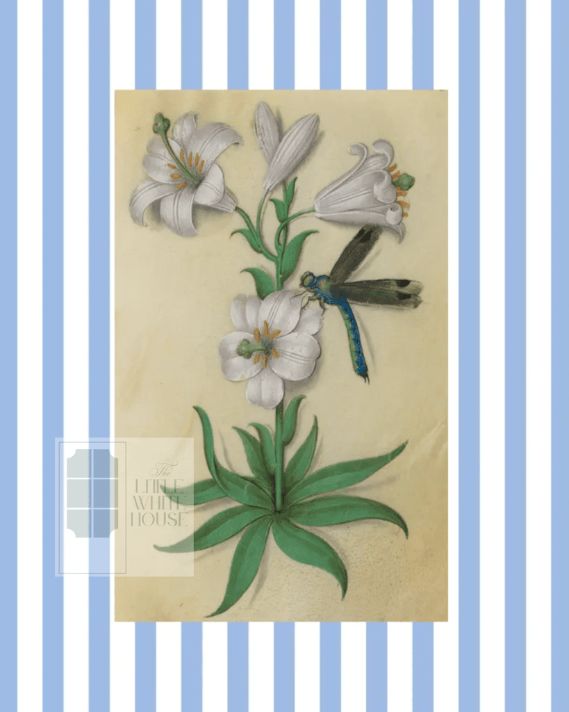 Blue & White Botanical Study, Giclee Print : STUDY 10 - Liza Pruitt