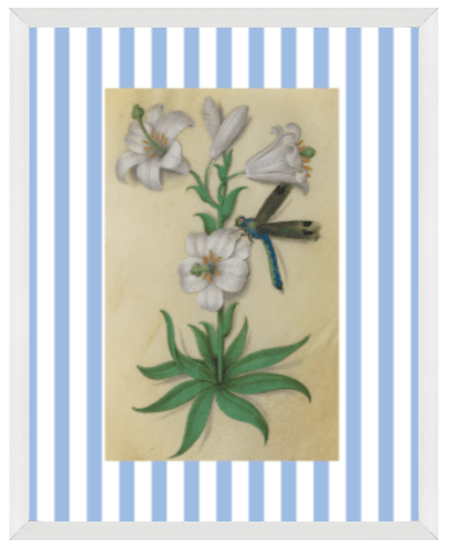 Blue & White Botanical Study, Giclee Print : STUDY 10 - Liza Pruitt