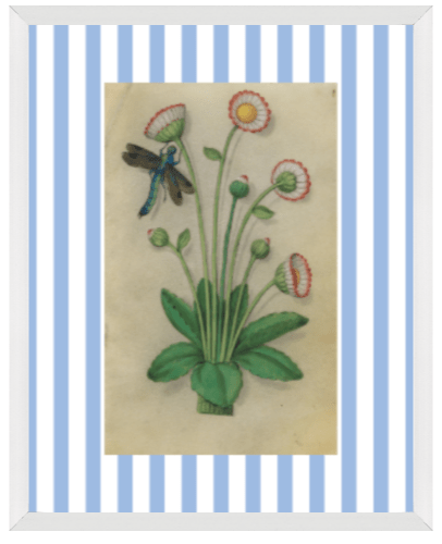 Blue & White Botanical Study, Giclee Print : STUDY 11 - Liza Pruitt