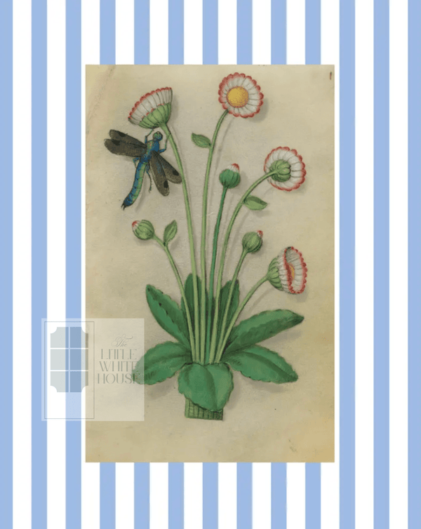 Blue & White Botanical Study, Giclee Print : STUDY 11 - Liza Pruitt