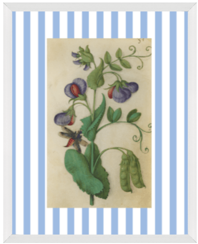 Blue & White Botanical Study, Giclee Print : STUDY 12 - Liza Pruitt