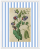 Blue & White Botanical Study, Giclee Print : STUDY 12 - Liza Pruitt