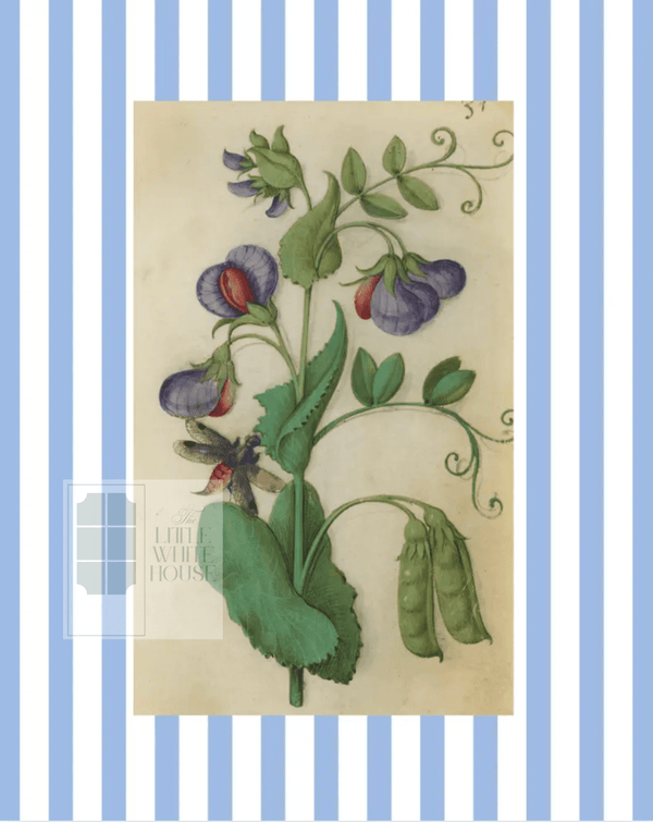 Blue & White Botanical Study, Giclee Print : STUDY 12 - Liza Pruitt