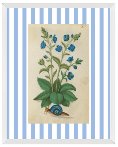 Blue & White Botanical Study, Giclee Print : STUDY 2 - Liza Pruitt