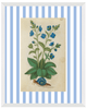Blue & White Botanical Study, Giclee Print : STUDY 2 - Liza Pruitt