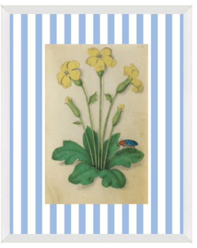 Blue & White Botanical Study, Giclee Print : STUDY 3 - Liza Pruitt