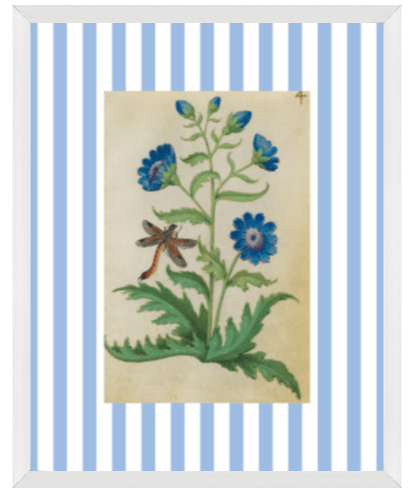 Blue & White Botanical Study, Giclee Print : STUDY 4 - Liza Pruitt