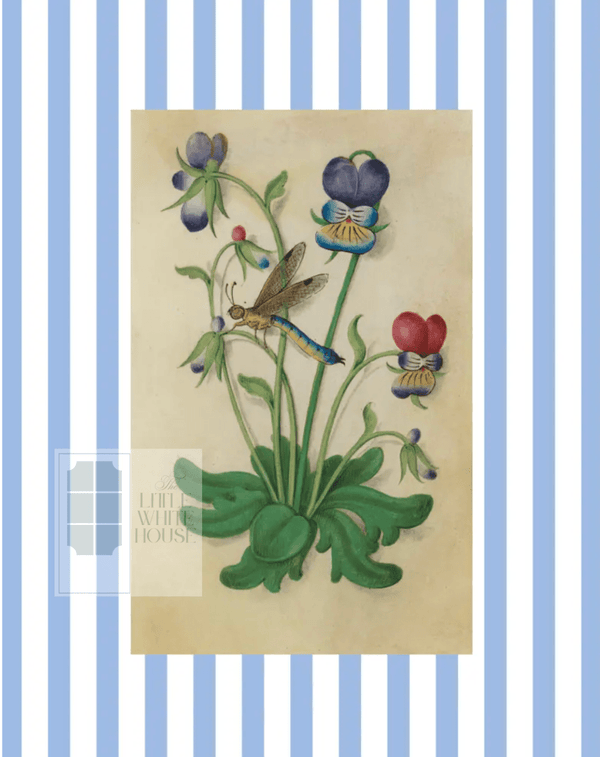 Blue & White Botanical Study, Giclee Print : STUDY 5 - Liza Pruitt