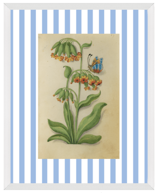 Blue & White Botanical Study, Giclee Print : STUDY 6 - Liza Pruitt