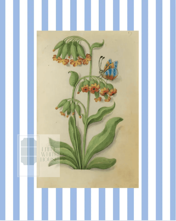 Blue & White Botanical Study, Giclee Print : STUDY 6 - Liza Pruitt