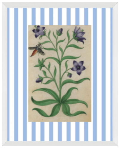 Blue & White Botanical Study, Giclee Print : STUDY 7 - Liza Pruitt