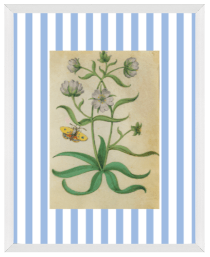 Blue & White Botanical Study, Giclee Print : STUDY 8 - Liza Pruitt