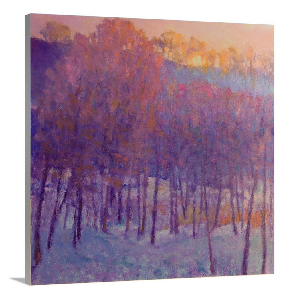 Blue Wish - Limited Edition Canvas Print - Liza Pruitt