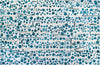 Blueberry Hill - Limited Edition Canvas Print - Liza Pruitt