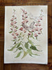 Botanical Blush No. 1, Original 9x12 - Liza Pruitt