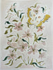 Botanical Blush No. 2, Original 9x12 - Liza Pruitt