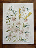 Botanical Blush No. 2, Original 9x12 - Liza Pruitt
