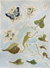 Botanical Sky No. 2, Original 9x12 - Liza Pruitt