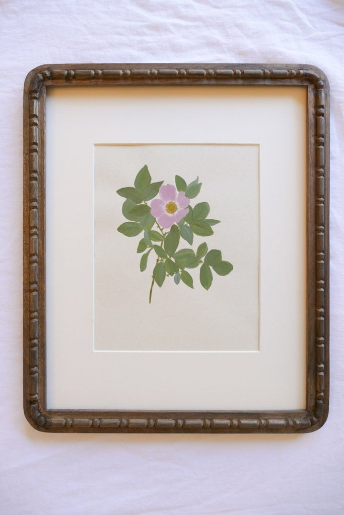 Botanical XXIII | 17" h x 14" w | Framed - Liza Pruitt
