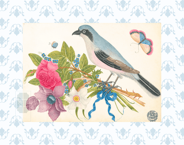 Bright Botanical Study, 11x14 Giclee Print : STUDY 1 - Liza Pruitt