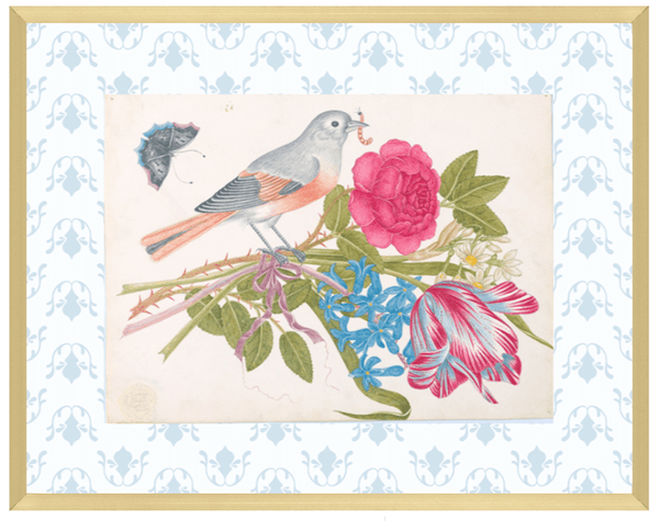 Bright Botanical Study, 11x14 Giclee Print : STUDY 10 - Liza Pruitt