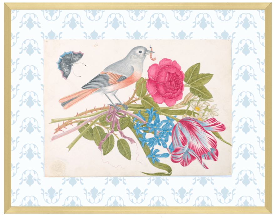 Bright Botanical Study, 11x14 Giclee Print : STUDY 10 - Liza Pruitt