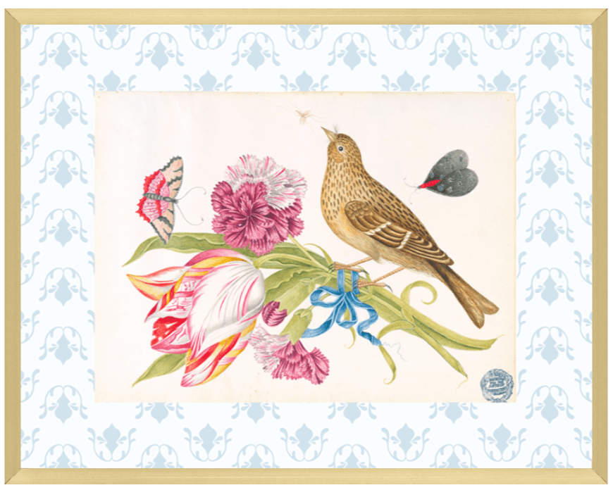 Bright Botanical Study, 11x14 Giclee Print : STUDY 11 - Liza Pruitt