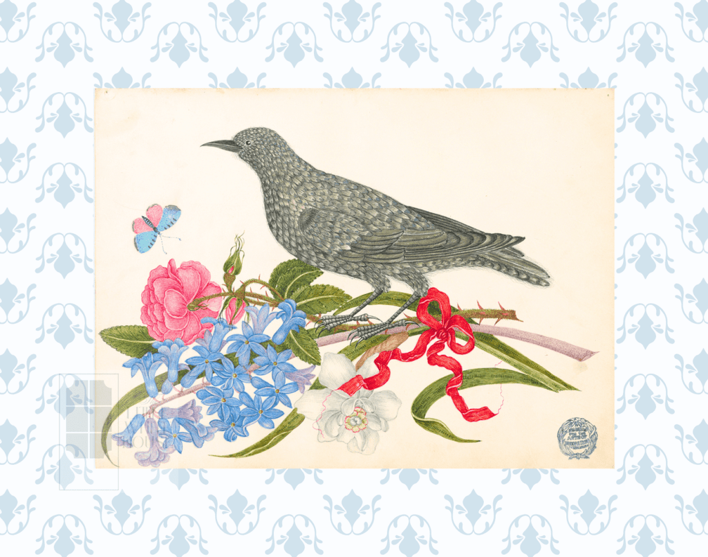 Bright Botanical Study, 11x14 Giclee Print : STUDY 12 - Liza Pruitt