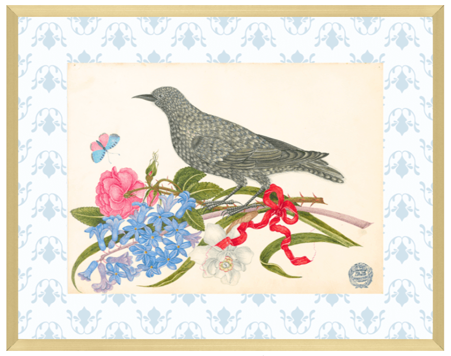 Bright Botanical Study, 11x14 Giclee Print : STUDY 12 - Liza Pruitt