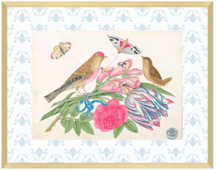 Bright Botanical Study, 11x14 Giclee Print : STUDY 2 - Liza Pruitt