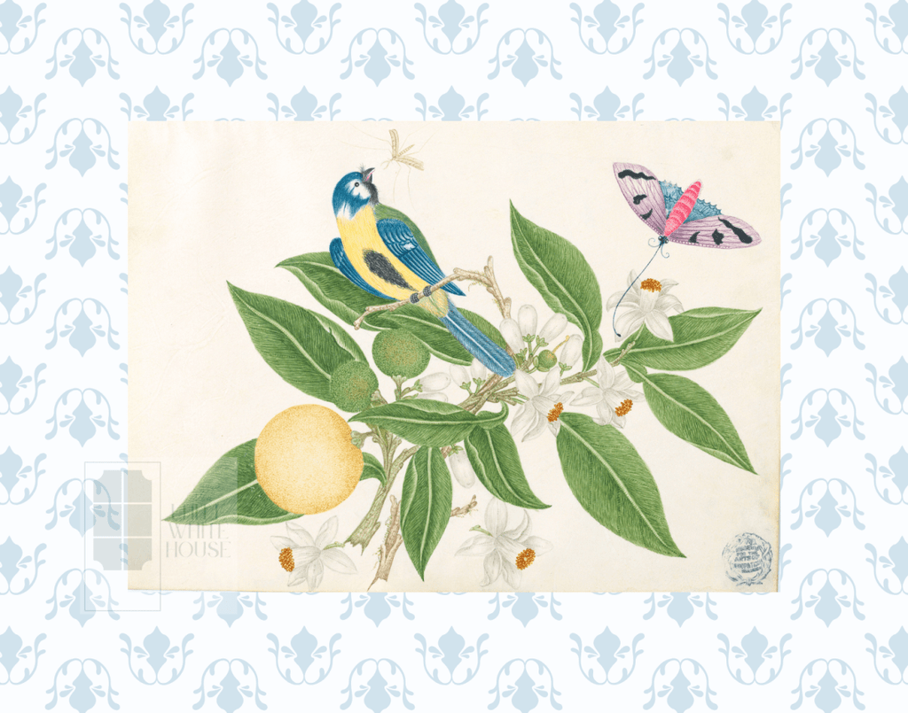 Bright Botanical Study, 11x14 Giclee Print : STUDY 3 - Liza Pruitt