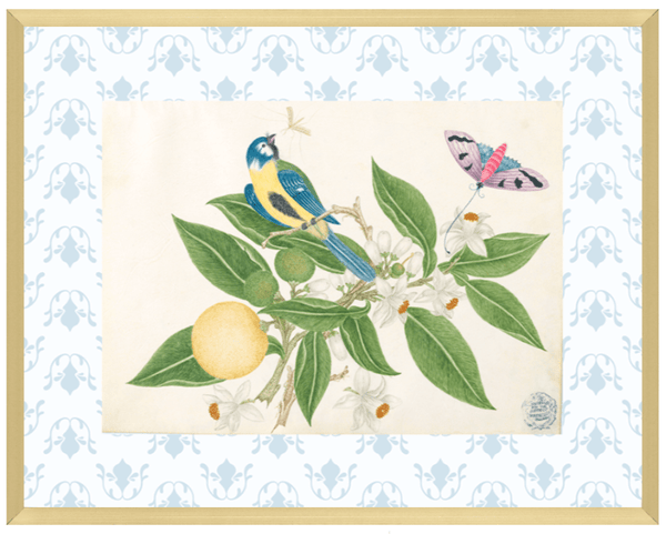 Bright Botanical Study, 11x14 Giclee Print : STUDY 3 - Liza Pruitt