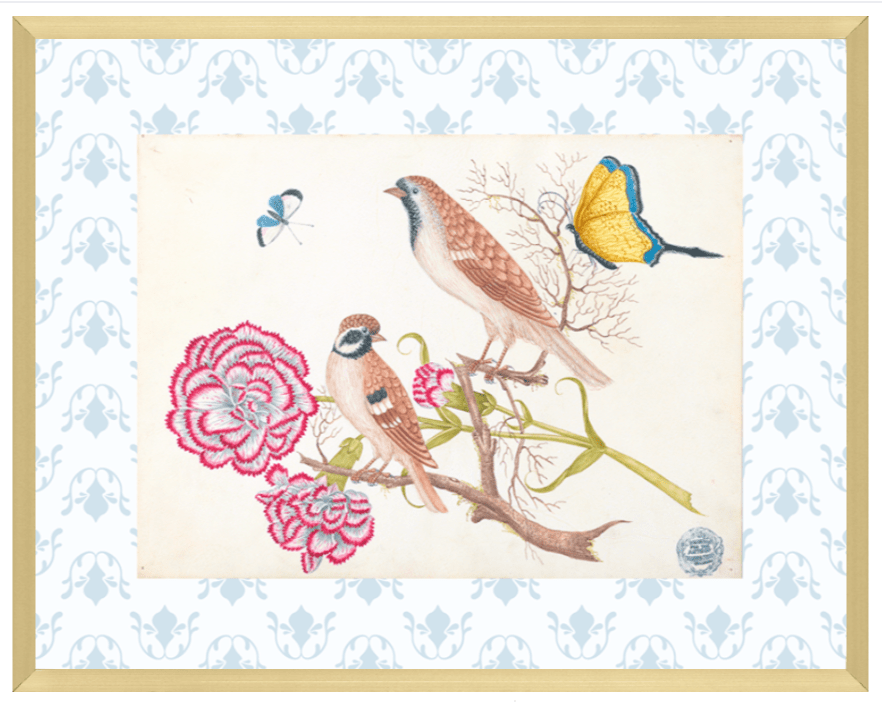 Bright Botanical Study, 11x14 Giclee Print : STUDY 4 - Liza Pruitt