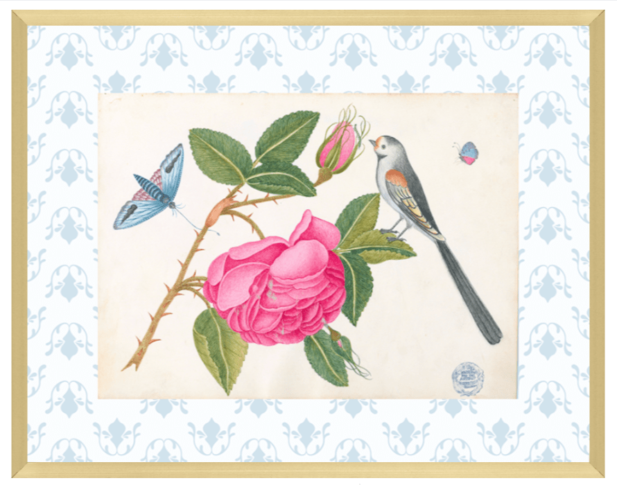 Bright Botanical Study, 11x14 Giclee Print : STUDY 5 - Liza Pruitt