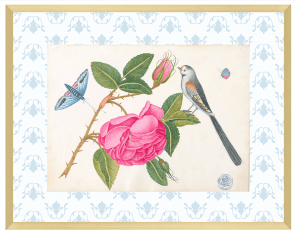 Bright Botanical Study, 11x14 Giclee Print : STUDY 5 - Liza Pruitt