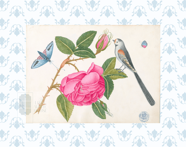 Bright Botanical Study, 11x14 Giclee Print : STUDY 5 - Liza Pruitt