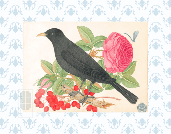 Bright Botanical Study, 11x14 Giclee Print : STUDY 6 - Liza Pruitt