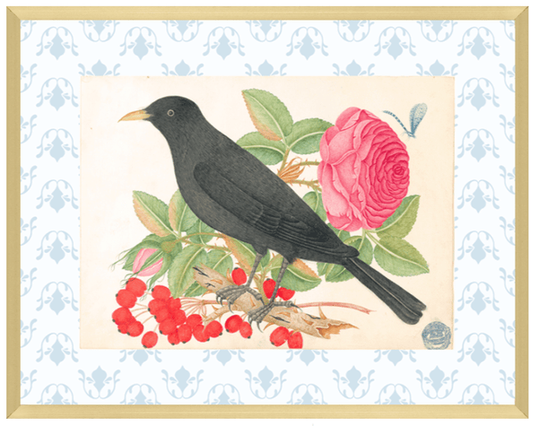 Bright Botanical Study, 11x14 Giclee Print : STUDY 6 - Liza Pruitt