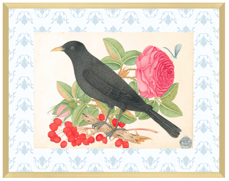 Bright Botanical Study, 11x14 Giclee Print : STUDY 6 - Liza Pruitt