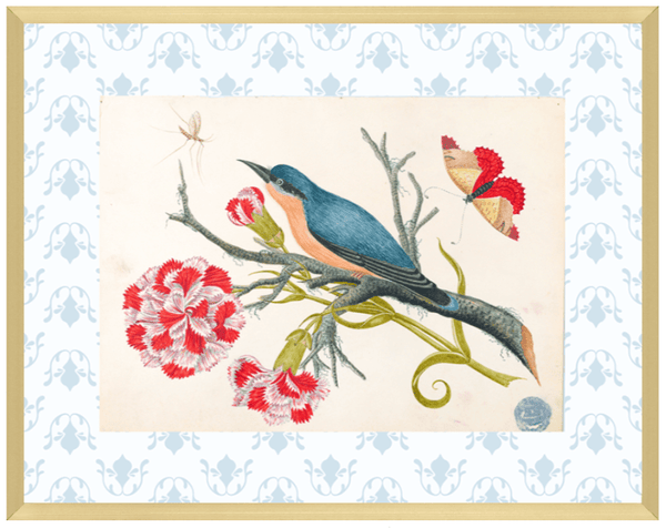 Bright Botanical Study, 11x14 Giclee Print : STUDY 7 - Liza Pruitt