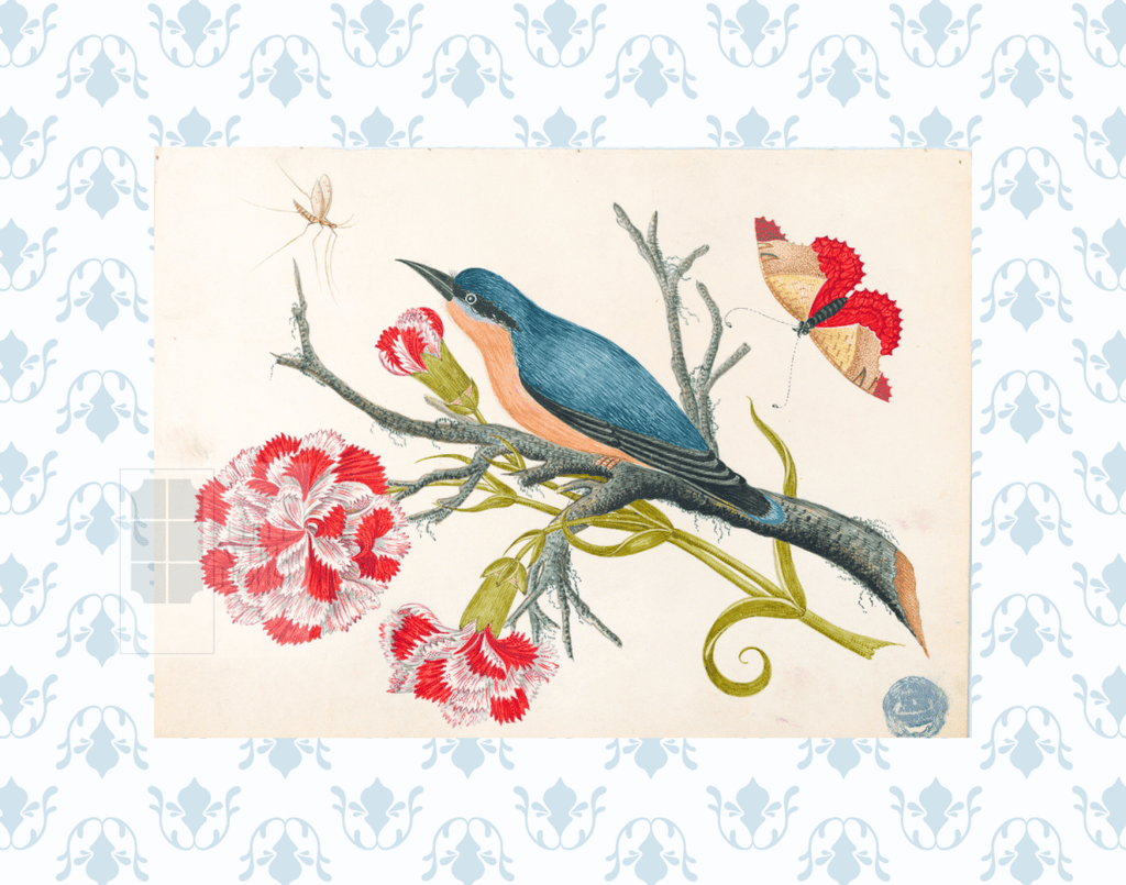 Bright Botanical Study, 11x14 Giclee Print : STUDY 7 - Liza Pruitt