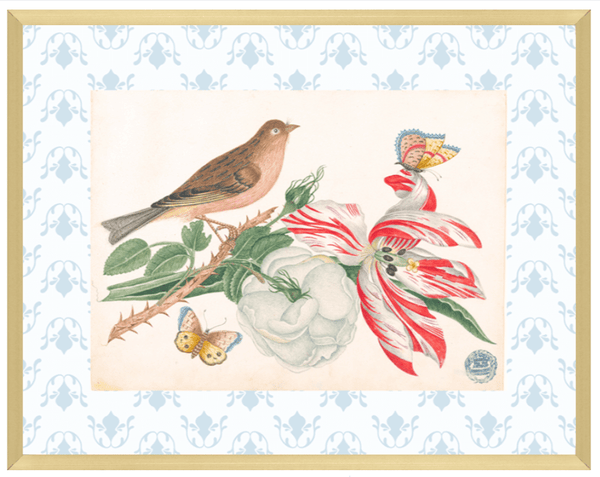 Bright Botanical Study, 11x14 Giclee Print : STUDY 8 - Liza Pruitt